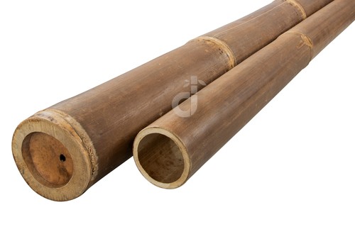 Pali bambù nigra canna - di,